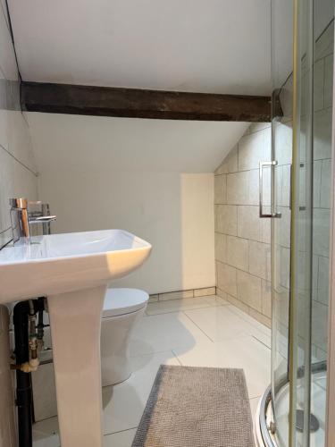 a bathroom with a sink and a toilet at Flat 4 Rylands Street in Warrington