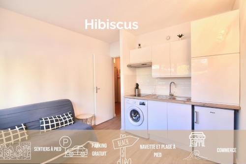 Les Hibiscus