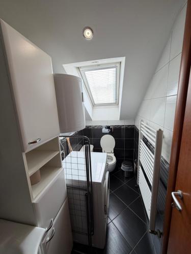 a small bathroom with a toilet and a window at Apartments Šoić in Samobor