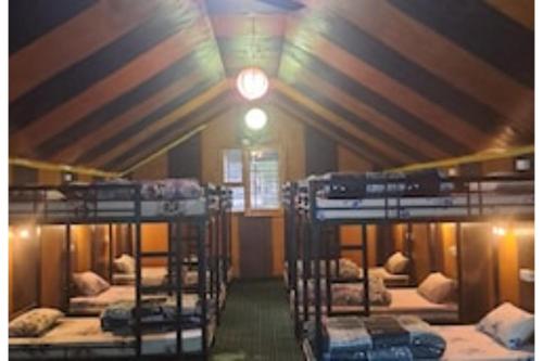 a room with a bunch of bunk beds in it at Thrillomania Kasol in Kasol