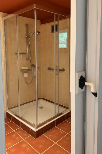 a shower with a glass enclosure in a bathroom at Chalet Le Puy Papillon in Servières-le-Château