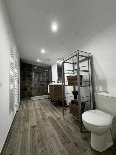 a bathroom with a toilet and a shower and a sink at Maison avec Jacuzzi Privatif Calme Soleil Cote d Azur in La Crau
