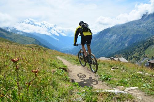 Mazot du Mont-Blanc - Happy Rentals photo 30
