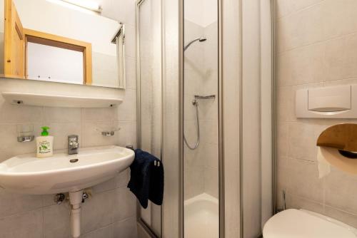 a bathroom with a shower and a sink and a toilet at Sallrain Hof Apartment 1 in Collalbo