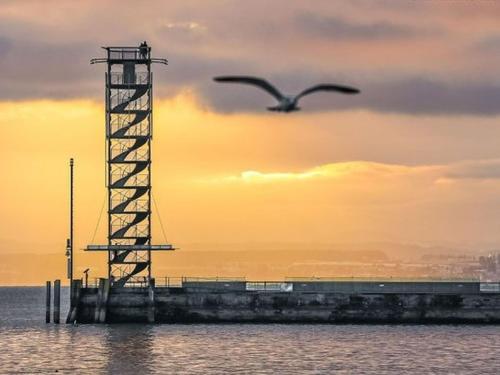 a bird flying in the sky over the water at Ferienhaus Jäger in Friedrichshafen