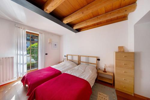 a bedroom with a large bed and a window at Villa Cleila Blu D in San Vito di Cadore