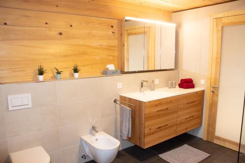 a bathroom with a sink and a toilet and a mirror at Ferienwohnung Naturnah in Dalaas