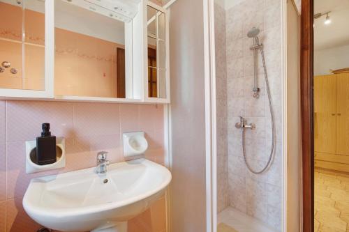 a bathroom with a sink and a shower at Maison Le Cré Appartamento 5 in Introd