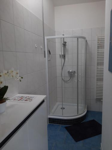 a shower with a glass door in a bathroom at Fewo beim Schmied Straßkirchen in Vogtareuth