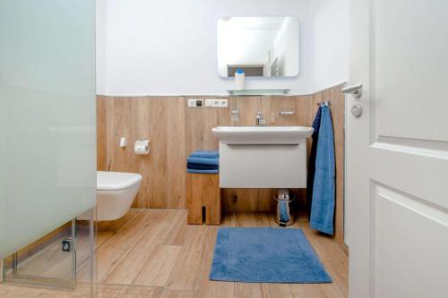 a bathroom with a sink and a toilet at Ferienwohnung Hafen in Neuendorf am See