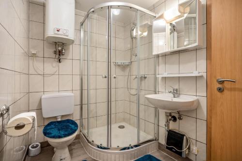 a bathroom with a shower and a toilet and a sink at Bungalow Kay, Bgl 4 in Dranske