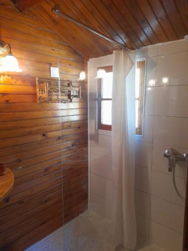 a shower in a bathroom with a wooden wall at Chalet Dominique in Azzana