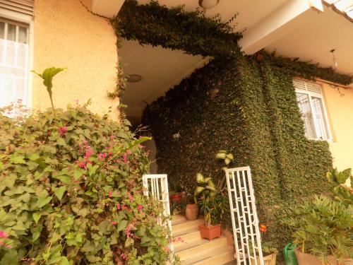 a house with a green ivy covered wall at Meliva Guest House Mbarara in Mbarara