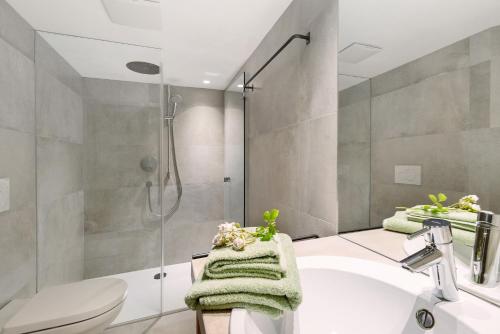 a bathroom with a shower and a sink and a toilet at Ansitz Baumannhof Apt Gotik in Falzes