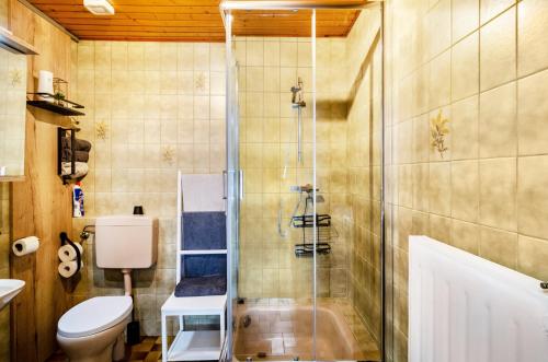 a bathroom with a shower and a toilet at Ferienwohnung Didi in Detern
