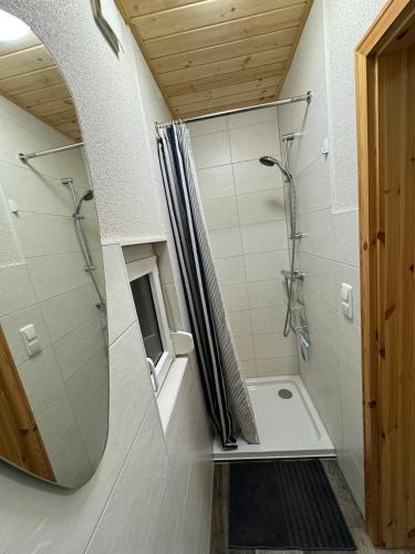 a bathroom with a shower and a mirror at Ferienhaus Haffstille in Ueckermünde
