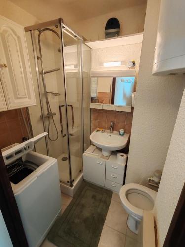 a small bathroom with a shower and a toilet at Cœur des neiges in Bernex