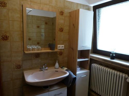 a bathroom with a sink and a mirror at Haus Wiesengrund in Forbach