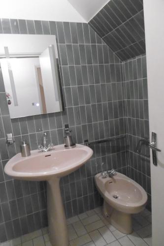 un bagno con lavandino e WC di Gîte Le Lot a Espalion