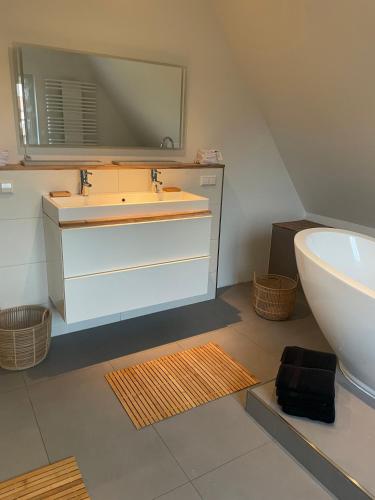 a bathroom with a sink and a mirror at Sommerlich bei den Sorben in Schmerlitz