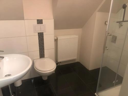 a bathroom with a toilet and a sink and a shower at Apartment Ballova in Balve