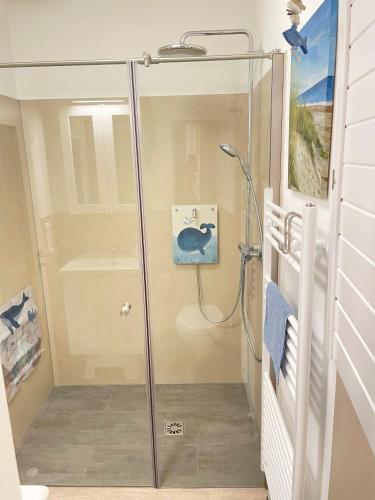 a shower with a glass door in a bathroom at Ferienwohnung Ankerleicht in Steinbergkirche