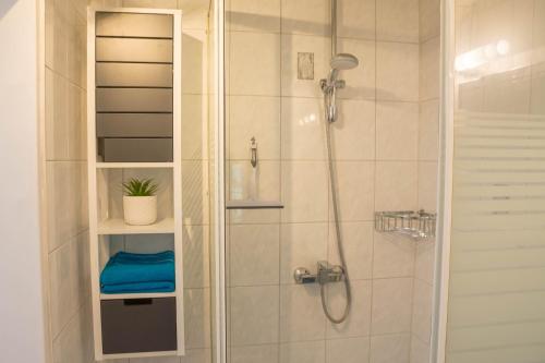 a bathroom with a shower with a glass door at Ferienwohnung Kleiner Spatz in Leutkirch im Allgäu