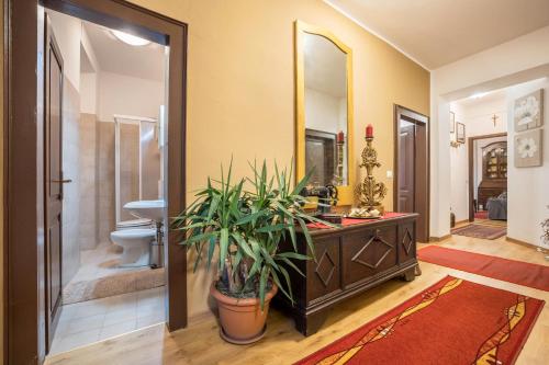 a bathroom with a potted plant and a mirror at Appartamento Collini in Spiazzo