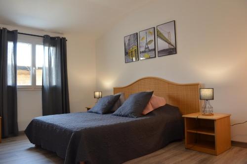 a bedroom with a bed with two blue pillows at Gîte les 2 Fontaines in Marans