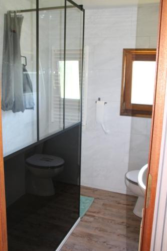 a bathroom with a toilet and a glass shower at Chalet du Lièvre in Hannappes