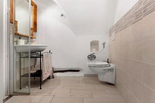 a white bathroom with a toilet and a sink at Logge dei Paroloti Agnese in San Lorenzo in Banale