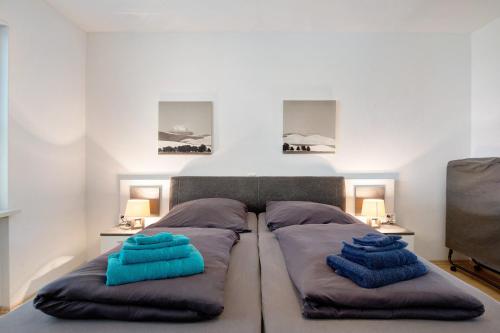 a bedroom with a bed with blue pillows on it at Agricola in Bad Säckingen