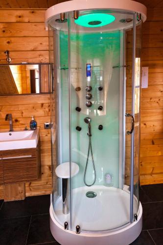 a shower with a glass door in a bathroom at Houten Villa Dirk in Den Ham