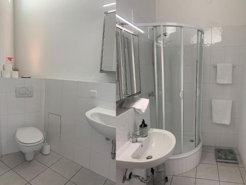 a bathroom with a sink and a shower and a toilet at Bodenseeloft H E 66 in Kressbronn am Bodensee
