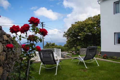two chairs sitting in the grass next to a plant with red flowers at Oásis Fonte Grande in Santo António
