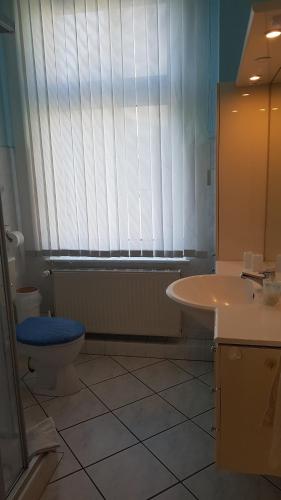 a bathroom with a sink and a toilet and a window at Villa Adler- Seeseite in Ahlbeck