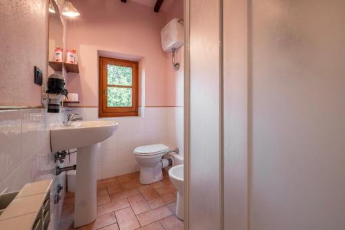 a bathroom with a white toilet and a sink at Girasole in Arcidosso