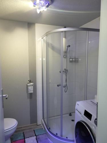 a shower stall in a bathroom with a toilet at Wohnung in Elz in Elz