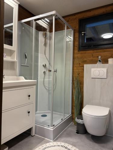a bathroom with a shower and a toilet and a sink at Ferienwohnung Herzogenhorn in Bernau im Schwarzwald
