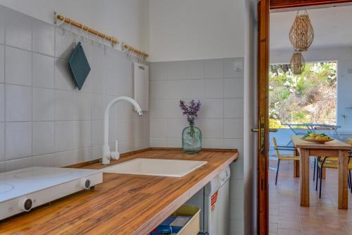 a kitchen with a sink and a counter top at Casa Magnolia P1 in Seccheto