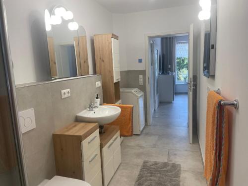 a bathroom with a sink and a mirror at Ferienwohnung Sonnenhöhe in Greiz