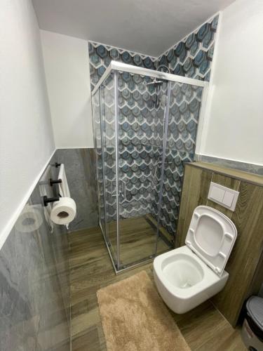 a bathroom with a toilet and a shower at Cabana Patric Valea Avrigului in Avrig