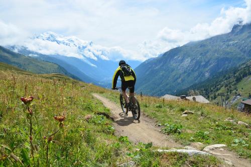 All Nature Duplex Mont Blanc View sleeps 6 - Happy Rentals photo 30