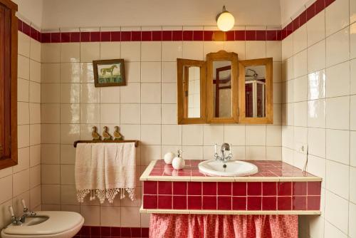 a bathroom with a sink and a toilet at Cortijo Las Gregorias in Lucena