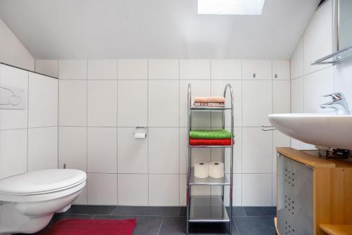 a bathroom with a toilet and a sink at Ferienwohnung Goelz in Bad Schussenried