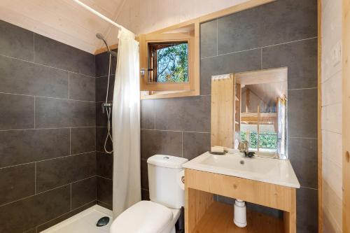 a bathroom with a toilet and a sink and a mirror at Cabanas do Alto da Coutada in Ponte de Lima