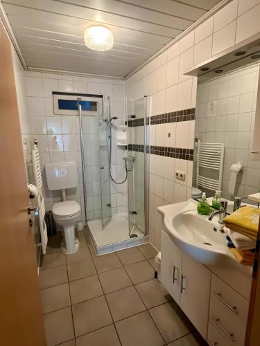 a bathroom with a shower and a sink and a toilet at Schwarzwald-Ferienwohnung Lehmann in Oppenau