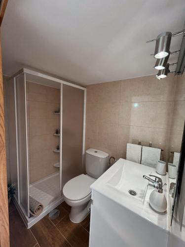 a bathroom with a toilet and a sink and a shower at Alojamento Local Vale dos Vascos in Alvaro
