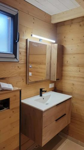 a bathroom with a sink in a wooden room at Chalet des Briseux in Saint-Maurice-sur-Moselle
