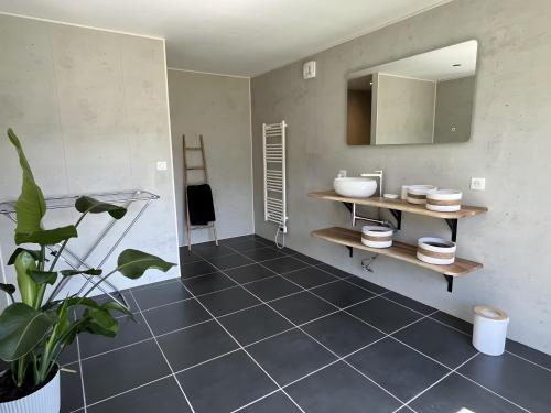 a bathroom with a sink and a mirror at Appartement Gorges du Tarn in Mostuéjouls
